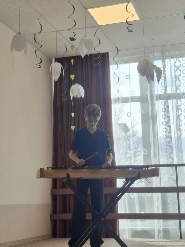 Sitaminstrumentu pārstāvis Henrijs Grava